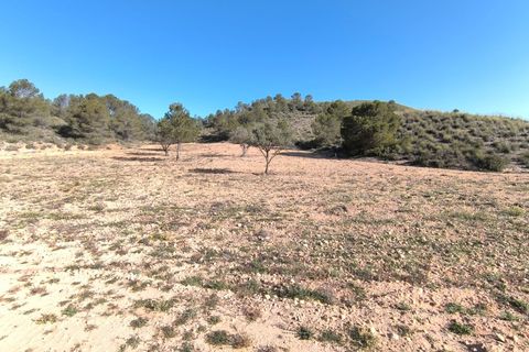 Helårsgrund i Yecla, Murcia, Yecla - € 52.500 | Ref: 70020 - foto 2