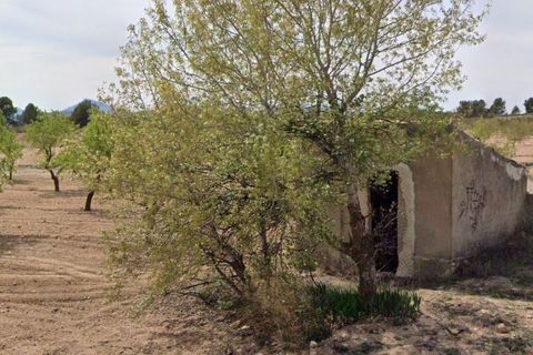 Terra a Yecla, Murcia, Yecla - € 12.000 | Ref: 41043-SS - foto 2