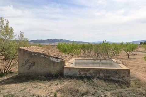 Terra a Yecla, Murcia, Yecla - € 12.000 | Ref: 41043-SS - foto 4