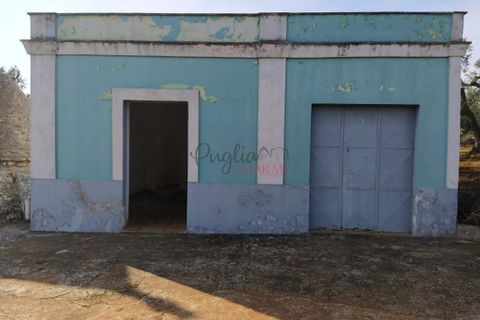Landejendom i Ostuni, Brindisi, Ostuni - € 300.000 | Ref: 141 - foto 11