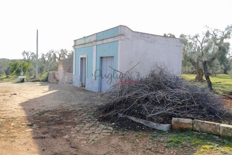 Landejendom i Ostuni, Brindisi, Ostuni - € 300.000 | Ref: 141 - foto 9