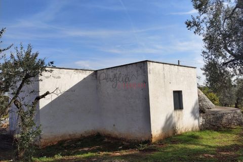 Landejendom i Ostuni, Brindisi, Ostuni - € 300.000 | Ref: 141 - foto 8