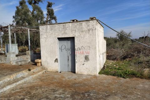 Landejendom i Ostuni, Brindisi, Ostuni - € 300.000 | Ref: 141 - foto 6
