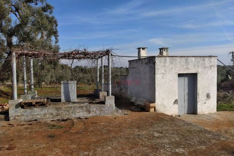 Landejendom i Ostuni, Brindisi, Ostuni - € 300.000 | Ref: 141 - foto 5