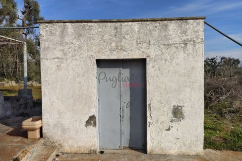 Landejendom i Ostuni, Brindisi, Ostuni - € 300.000 | Ref: 141 - foto 7