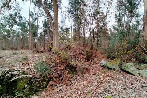 Helårsgrund i Silveiros, Braga, Silveiros - € 105.000 | Ref: SÒL_2529 - foto 3