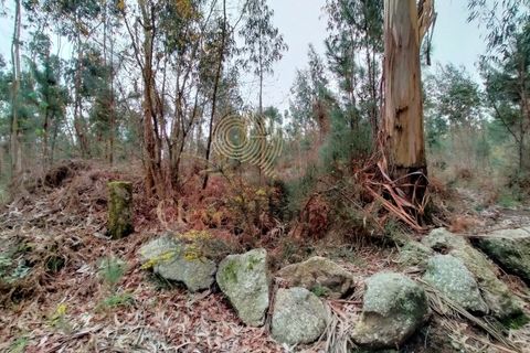 Helårsgrund i Silveiros, Braga, Silveiros - € 105.000 | Ref: SÒL_2529 - foto 4