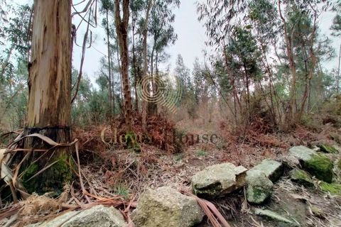 Helårsgrund i Silveiros, Braga, Silveiros - € 105.000 | Ref: SÒL_2529 - foto 5