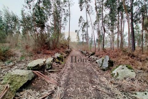 Helårsgrund i Silveiros, Braga, Silveiros - € 105.000 | Ref: SÒL_2529 - foto 6