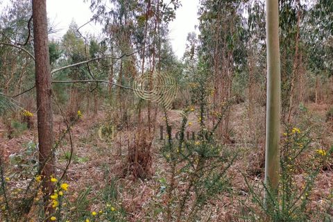Helårsgrund i Silveiros, Braga, Silveiros - € 105.000 | Ref: SÒL_2529 - foto 8