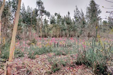 Helårsgrund i Silveiros, Braga, Silveiros - € 105.000 | Ref: SÒL_2529 - foto 9