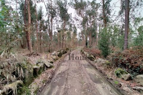 Helårsgrund i Silveiros, Braga, Silveiros - € 105.000 | Ref: SÒL_2529 - foto 2