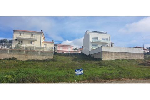 Terra a Mogadouro, Braganca, Mogadouro - € 54.000 | Ref: BG97082MG - foto 2
