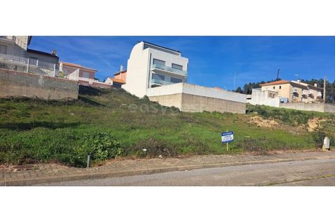 Terra a Mogadouro, Braganca, Mogadouro - € 54.000 | Ref: BG97082MG - foto 3