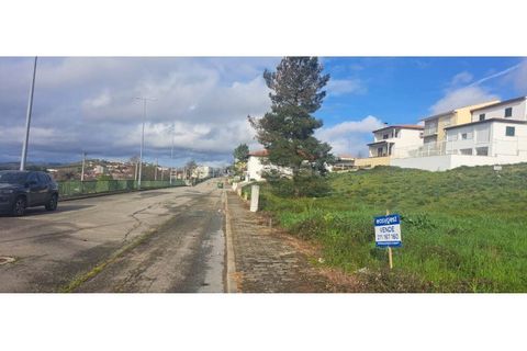 Terra a Mogadouro, Braganca, Mogadouro - € 54.000 | Ref: BG97082MG - foto 4