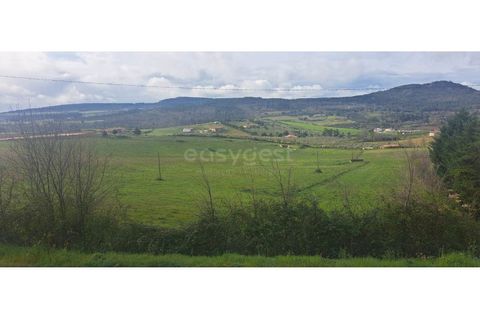 Terra a Mogadouro, Braganca, Mogadouro - € 54.000 | Ref: BG97082MG - foto 5