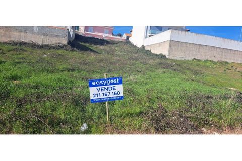 Terra a Mogadouro, Braganca, Mogadouro - € 54.000 | Ref: BG97082MG - foto 6