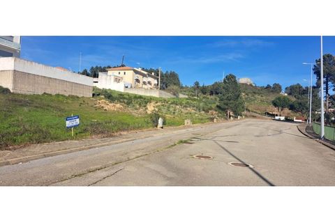 Terra a Mogadouro, Braganca, Mogadouro - € 54.000 | Ref: BG97082MG - foto 8