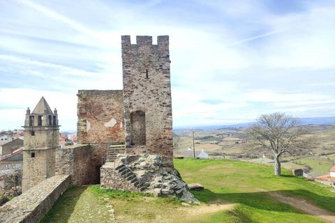 Terra a Mogadouro, Braganca, Mogadouro - € 54.000 | Ref: BG97082MG - foto 9