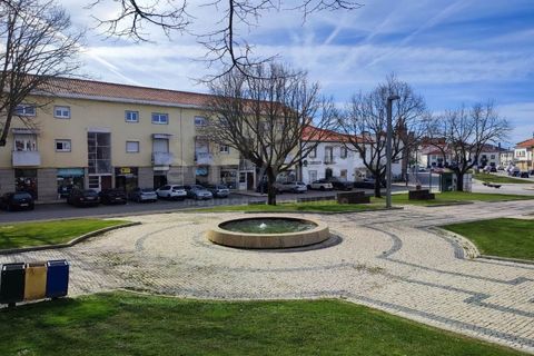 Terra a Mogadouro, Braganca, Mogadouro - € 54.000 | Ref: BG97082MG - foto 10