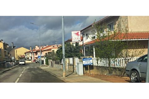 Terra a Mogadouro, Braganca, Mogadouro - € 49.000 | Ref: BG97079MG - foto 8