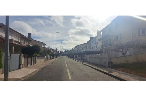 Terra a Mogadouro, Braganca, Mogadouro - € 49.000 | Ref: BG97079MG - foto 9