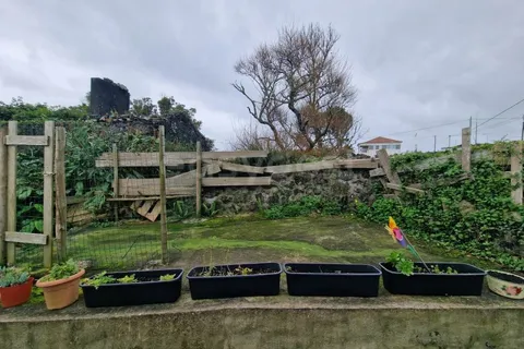 Villa i Piedade, Pico, Piedade - € 130.000 | Ref: AZ97043DA - foto 26