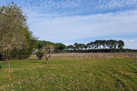Villa em Langon, Gironde, Langon - € 227.000 | Ref: 110 - foto 6