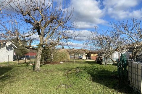 Terra a Cérons, Gironde, Cérons - € 128.000 | Ref: 104 - foto 2