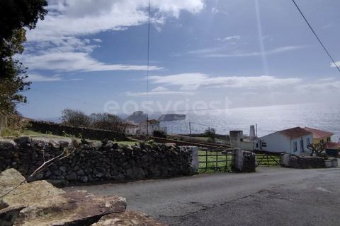 Terra a Ribeirinha, Sao Miguel, Ribeirinha - € 55.000 | Ref: AZ97055MS - foto 12