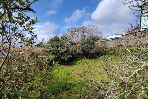 Terra a Ribeirinha, Sao Miguel, Ribeirinha - € 55.000 | Ref: AZ97055MS - foto 13