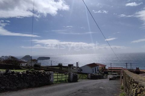 Terra a Ribeirinha, Sao Miguel, Ribeirinha - € 55.000 | Ref: AZ97055MS - foto 15