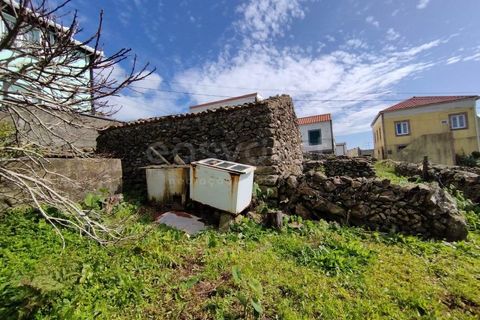 Terra a Ribeirinha, Sao Miguel, Ribeirinha - € 55.000 | Ref: AZ97055MS - foto 16