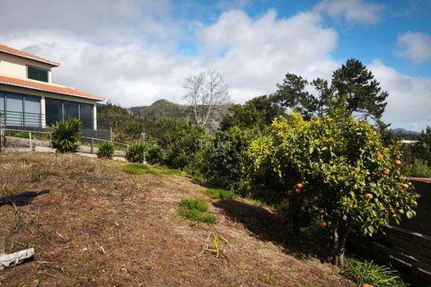 Villa i Calheta, Madeira, Calheta - € 485.000 | Ref: MOR018 - foto 19