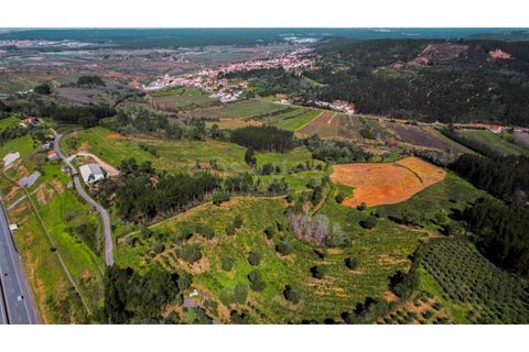 Terra a Maiorga, Leiria, Maiorga - € 155.000 | Ref: LE97049NZ - foto 4