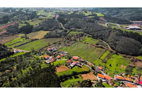 Terra a Maiorga, Leiria, Maiorga - € 155.000 | Ref: LE97049NZ - foto 9