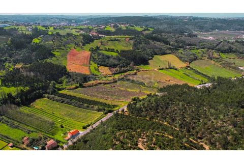 Terra a Maiorga, Leiria, Maiorga - € 155.000 | Ref: LE97049NZ - foto 16