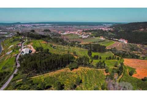 Terra a Maiorga, Leiria, Maiorga - € 155.000 | Ref: LE97049NZ - foto 20