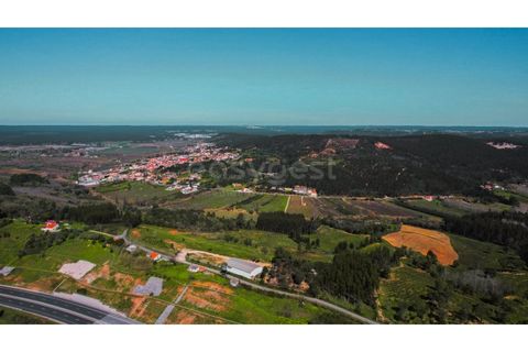 Terra a Maiorga, Leiria, Maiorga - € 155.000 | Ref: LE97049NZ - foto 24