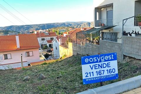 Terra a Torre de Moncorvo, Braganca, Torre de Moncorvo - € 25.000 | Ref: BG97059TM - foto 3