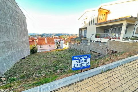 Terra a Torre de Moncorvo, Braganca, Torre de Moncorvo - € 25.000 | Ref: BG97059TM - foto 4