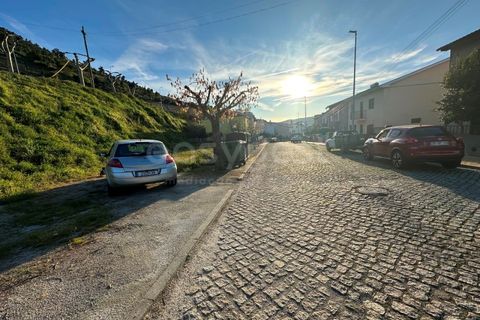 Terra a Torre de Moncorvo, Braganca, Torre de Moncorvo - € 25.000 | Ref: BG97059TM - foto 5
