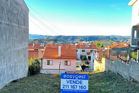 Terra a Torre de Moncorvo, Braganca, Torre de Moncorvo - € 25.000 | Ref: BG97059TM - foto 7