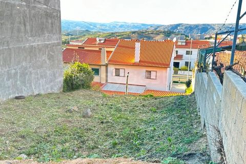 Terra a Torre de Moncorvo, Braganca, Torre de Moncorvo - € 25.000 | Ref: BG97059TM - foto 9