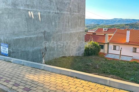 Terra a Torre de Moncorvo, Braganca, Torre de Moncorvo - € 25.000 | Ref: BG97059TM - foto 10