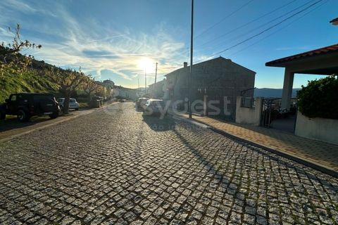 Terra a Torre de Moncorvo, Braganca, Torre de Moncorvo - € 25.000 | Ref: BG97059TM - foto 12