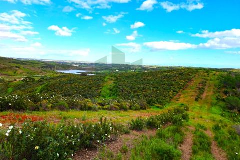 Helårsgrund i Castro Marim, Faro, Castro Marim - € 35.000 | Ref: 2001-144 - foto 3