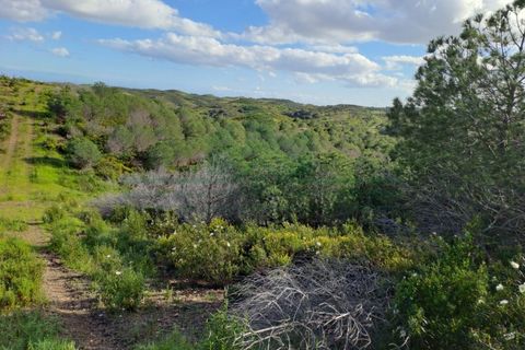 Helårsgrund i Castro Marim, Faro, Castro Marim - € 35.000 | Ref: 2001-144 - foto 6