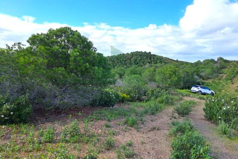 Helårsgrund i Castro Marim, Faro, Castro Marim - € 35.000 | Ref: 2001-144 - foto 12
