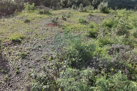 Helårsgrund i Castro Marim, Faro, Castro Marim - € 35.000 | Ref: 2001-144 - foto 15